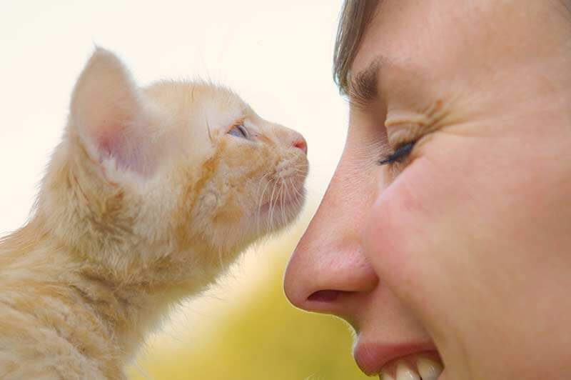 Permanent Identification