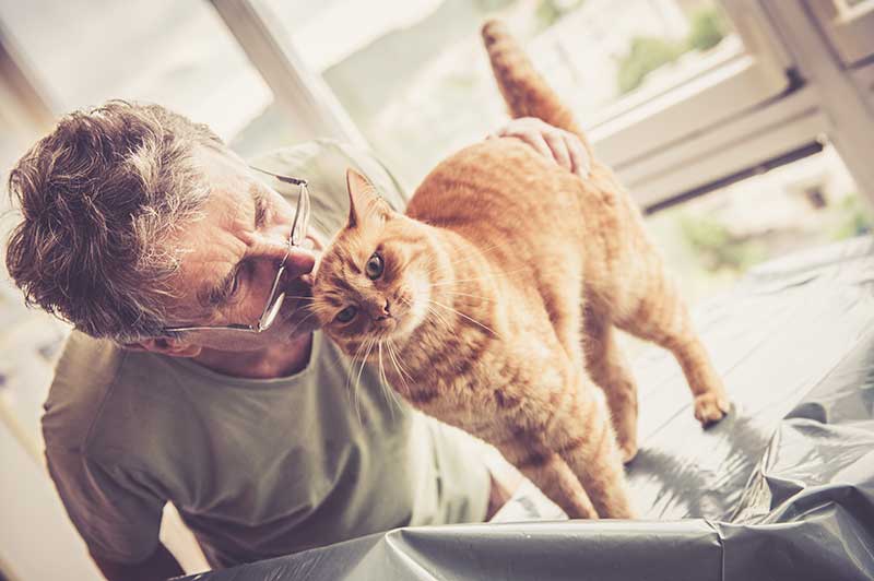 Senior Cat Care