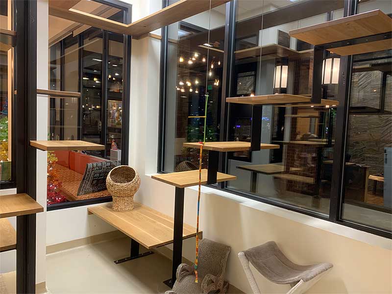 Our Adoption Room