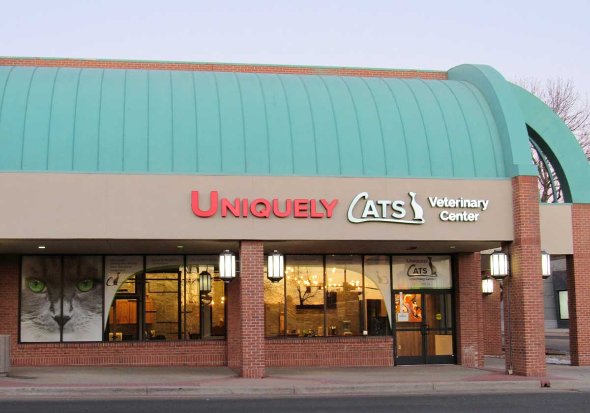 Our Location