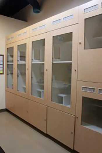 Our boarding facility