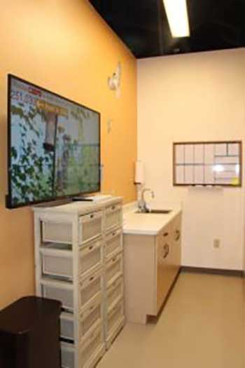 Our boarding facility