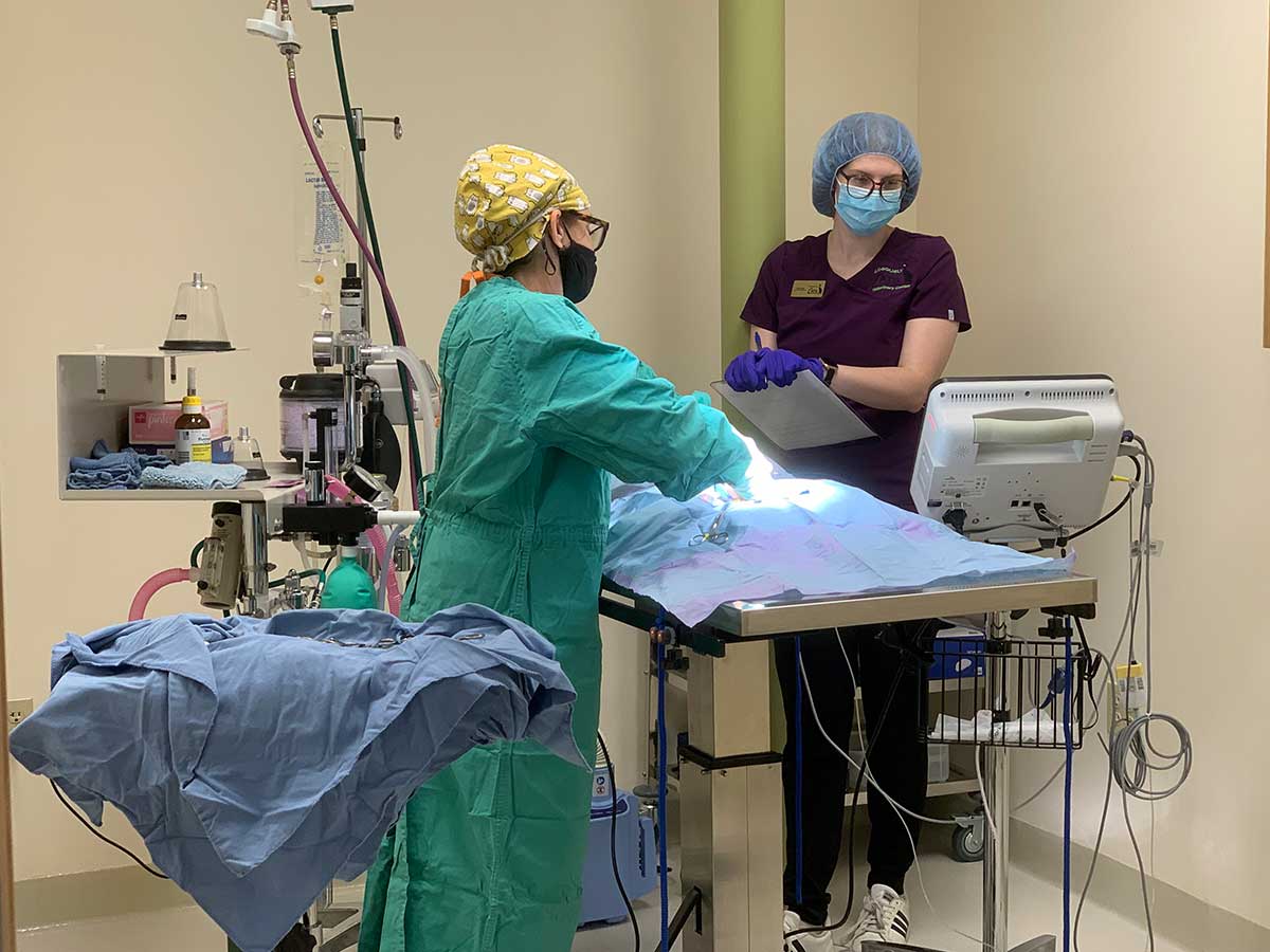 Our surgical team