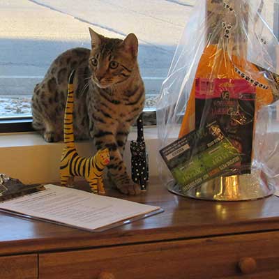 You Never Know Who You'll See - Stop by and visit us! We accept all types of payment including Care Credit and Scratch Pay.