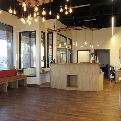 Reception - Rodwin Architecture and the Uniquely Cats team created for our reception area.  It's a peaceful space for you and your kitty.